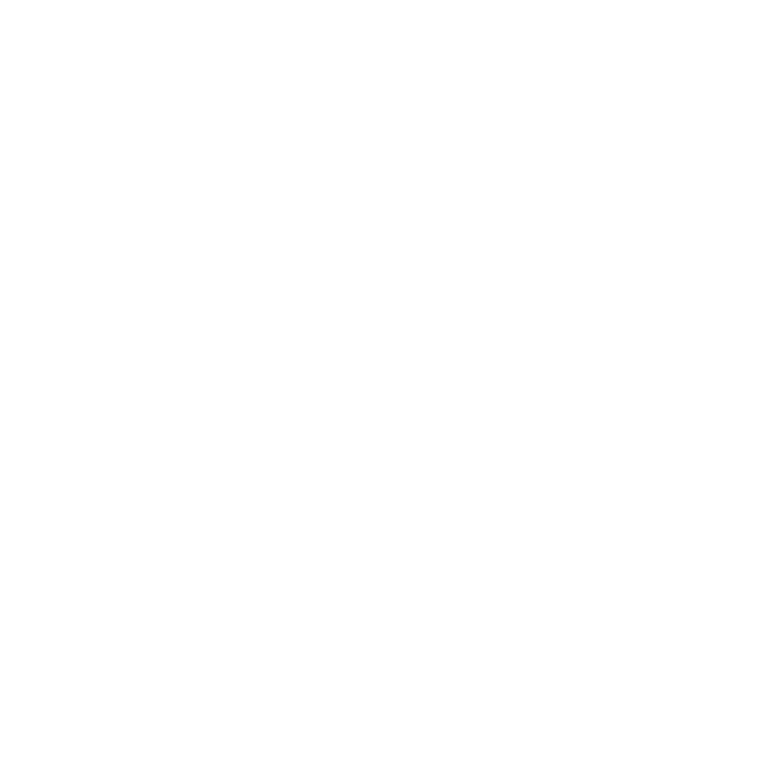Twin Cities Auto Detailers Logo